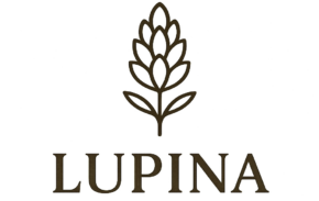 Lupina